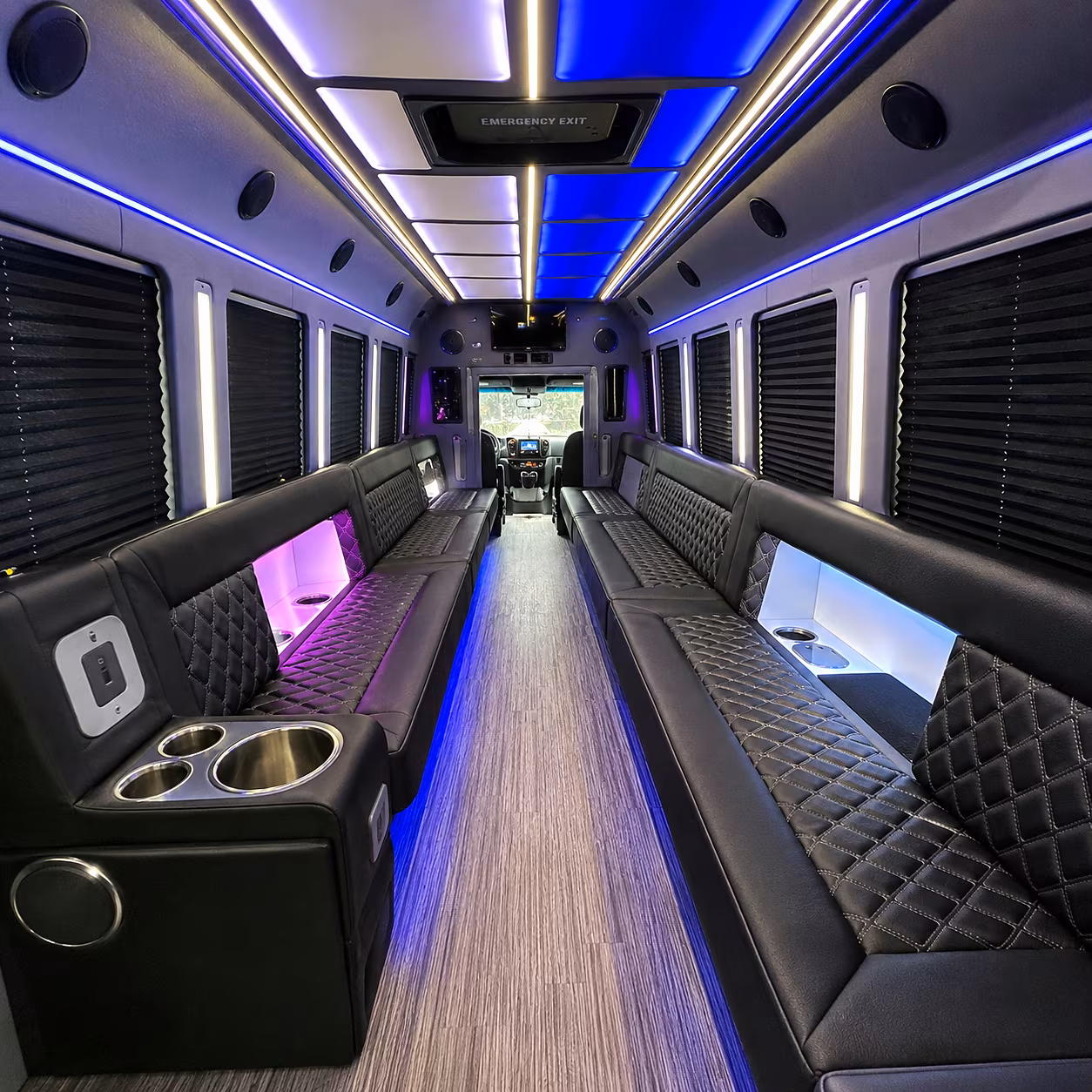 birthday party bus rental