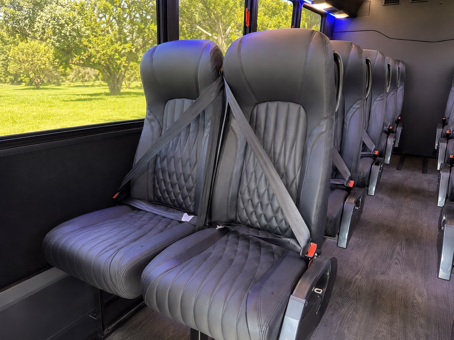 birthday party buses for wine tours out of stonecrest