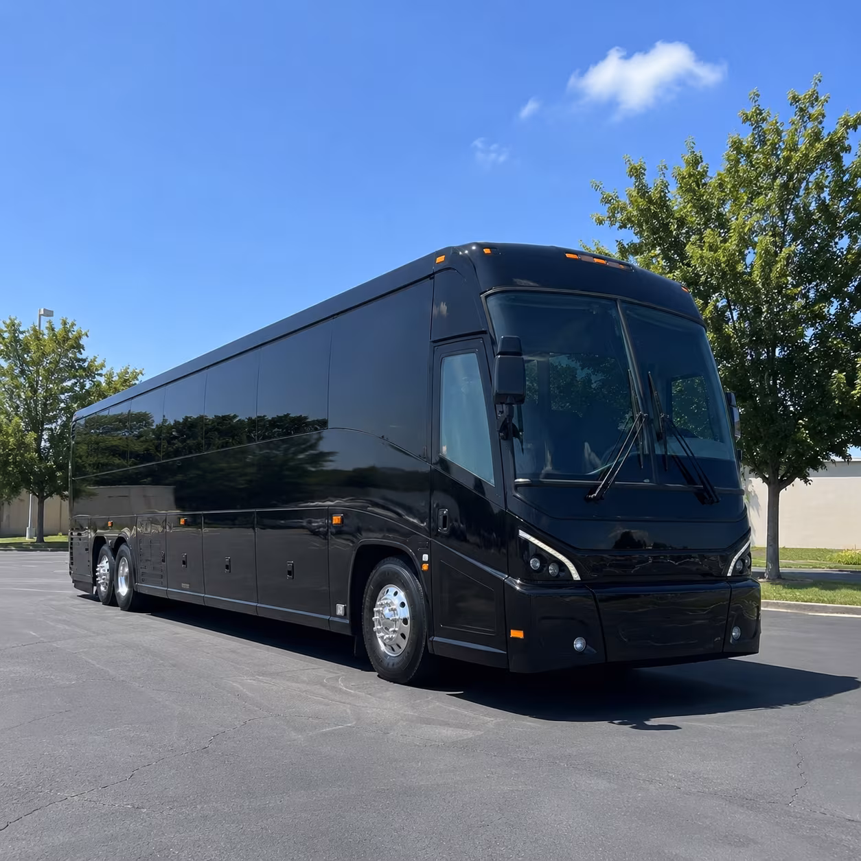 charter buses for atlanta museum field trips from stonecrest schools